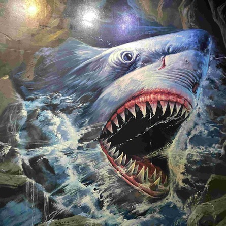 Aquatic Zone
